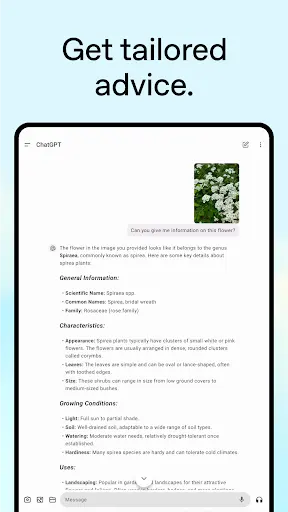 ChatGPT-screenshots-11